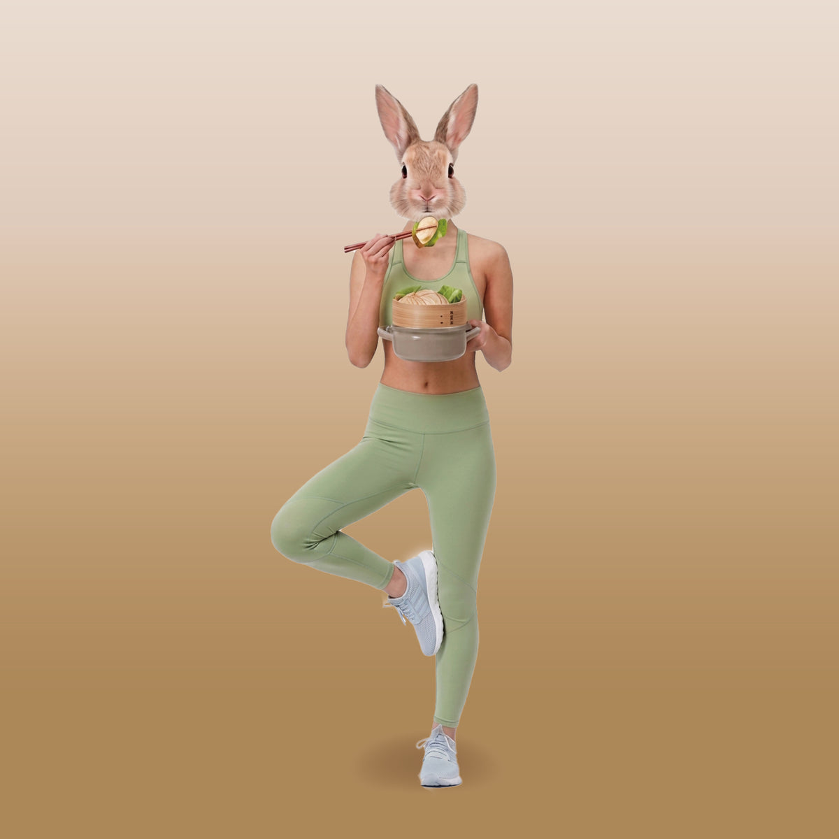 Webpage_OnePotEveryLifestyle_Rabbit.jpg