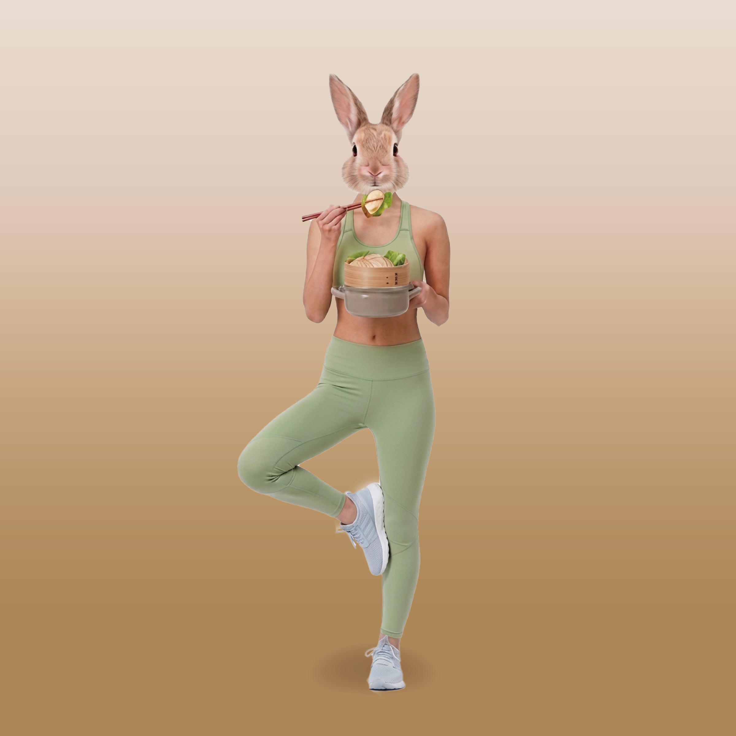 Webpage_OnePotEveryLifestyle_Rabbit.jpg